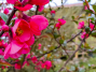 IMG_20230423_183704_1600