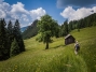 IMG_20190625_151336