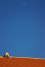 crw_9663
