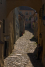 sighisoara_crw_2025