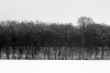 crw_13846-bw