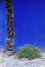 mtb_reala_iulie_2002_04