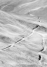 tracks