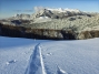 IMG20260226164435_crop_1600