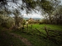 IMG_20190411_125427