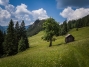 IMG_20190625_151326