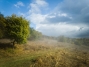 IMG_20191006_154526