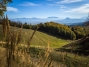 IMG_20191013_154302