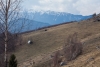 IMG_47176