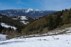 IMG_22874