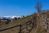 IMG_35000