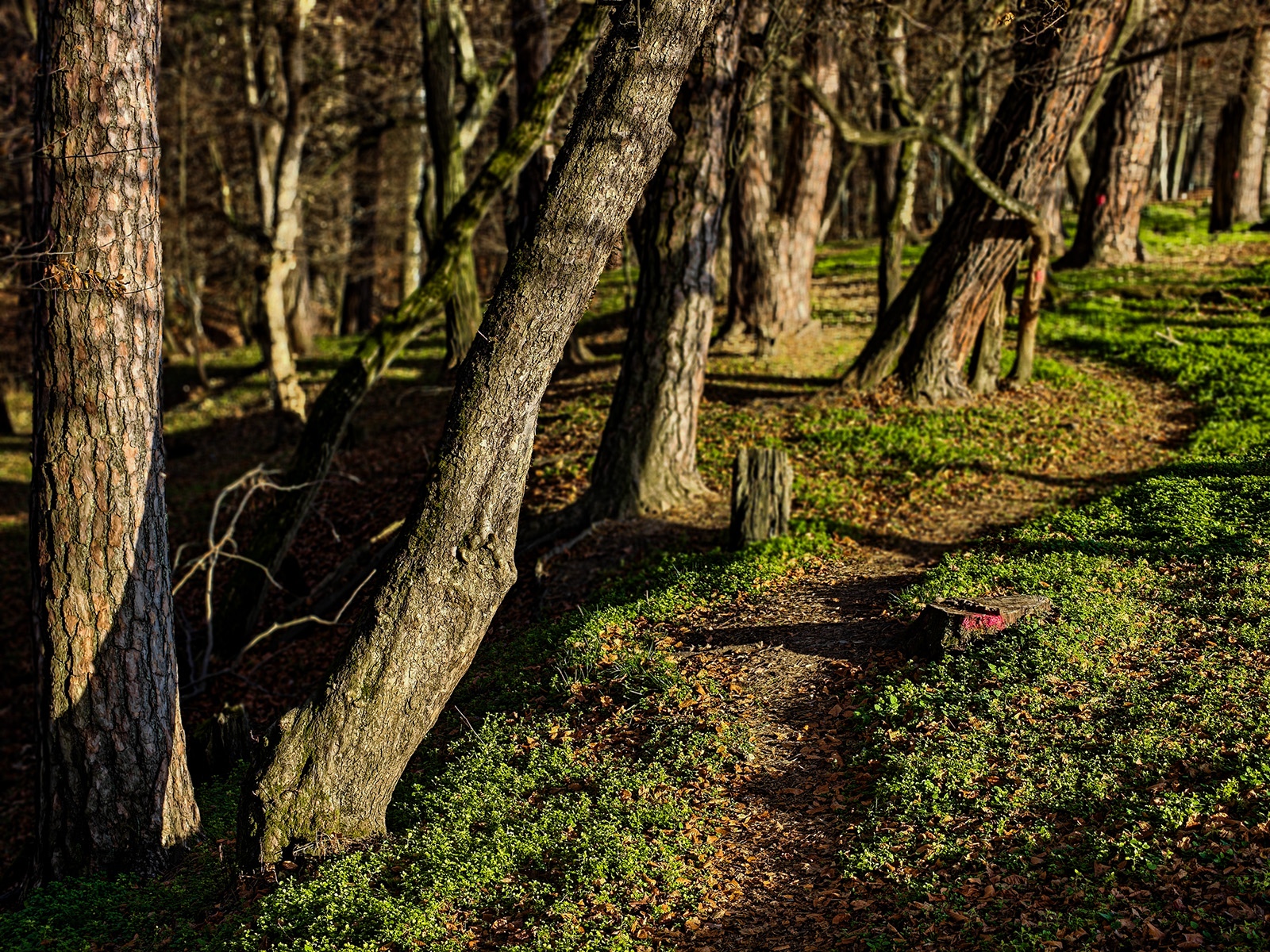 IMG20251115150249_1600