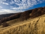 IMG20251116145524_1600