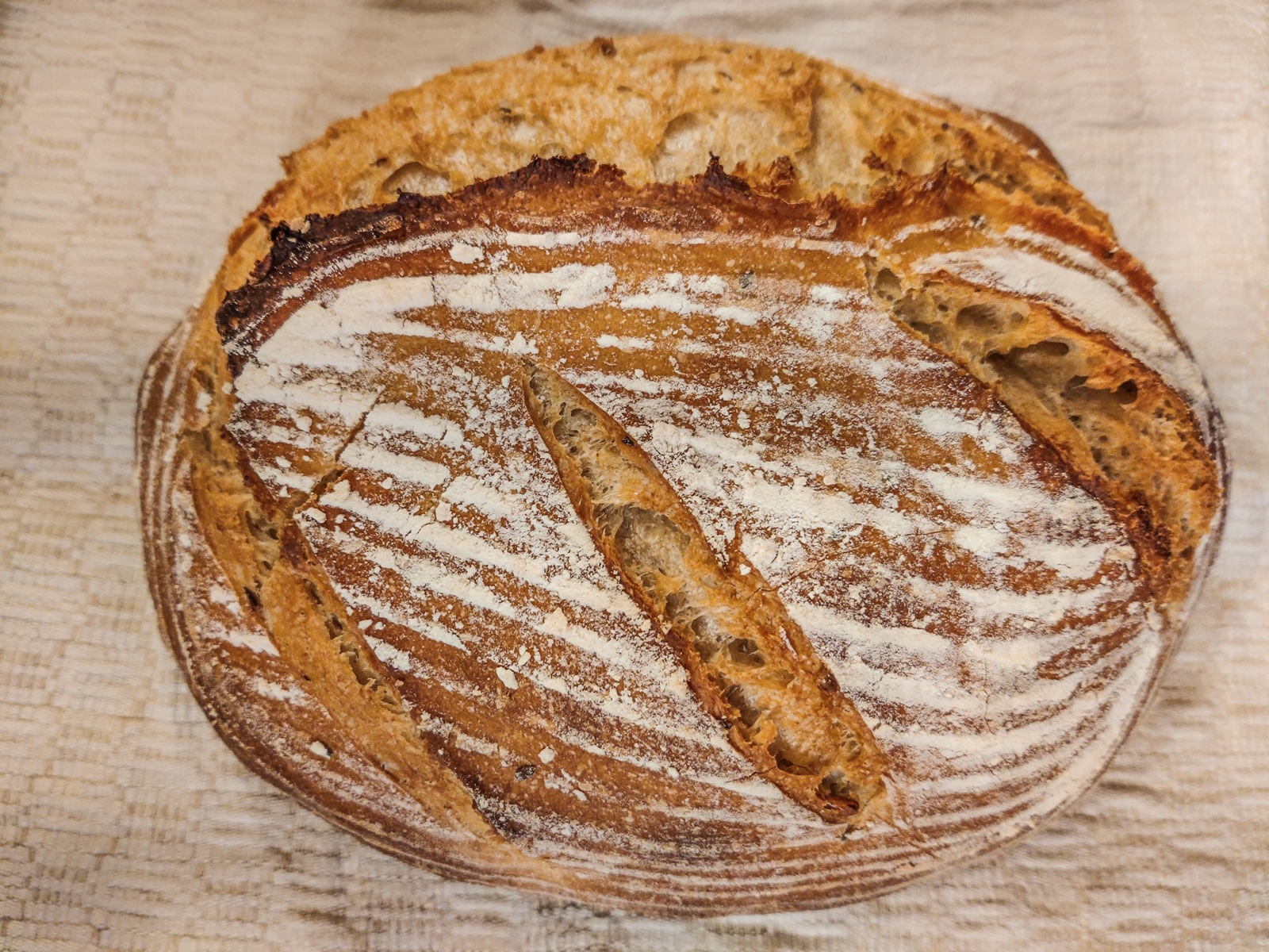 IMG_20240105_162131_1600