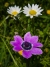 IMG20260405133656_1600