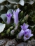 IMG20260410163519_1600