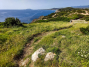 IMG_20240429_164432_1600