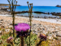 IMG_20240502_125634_1600