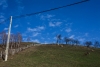 IMG_39077