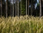 IMG20261017135743_1600