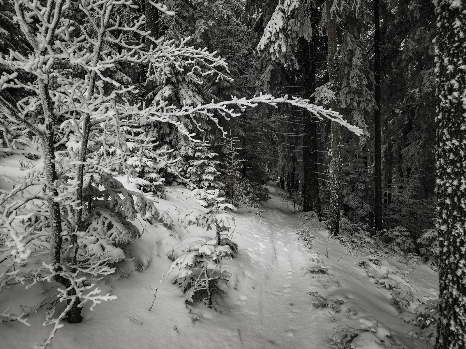 IMG20260112160048_1600