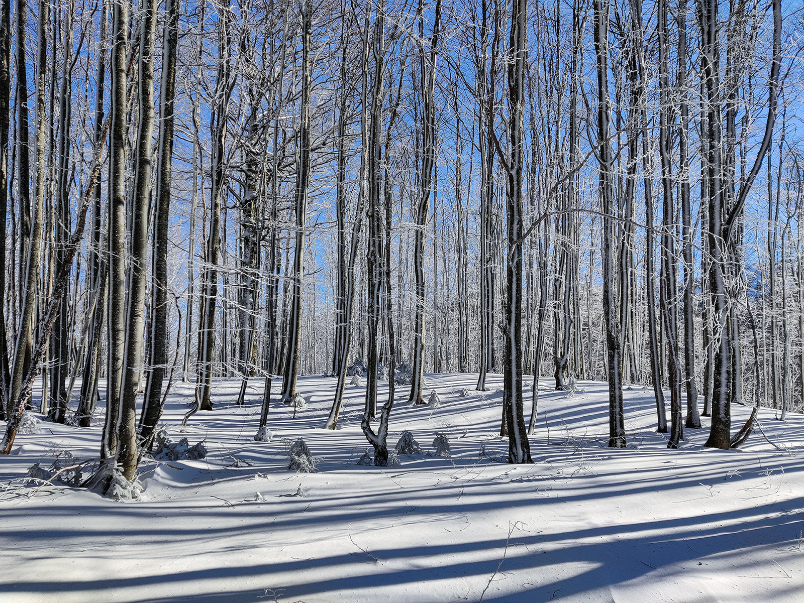 IMG_20220120_121914_1600