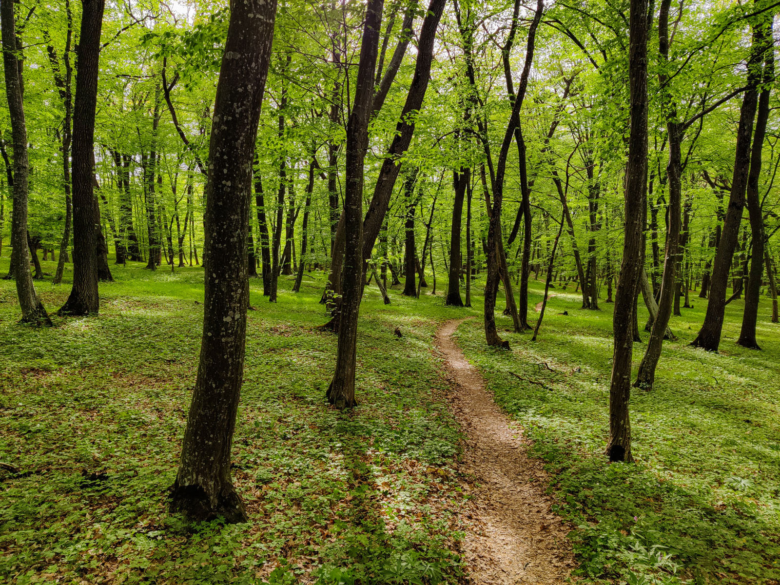 IMG_20220507_171747_1600