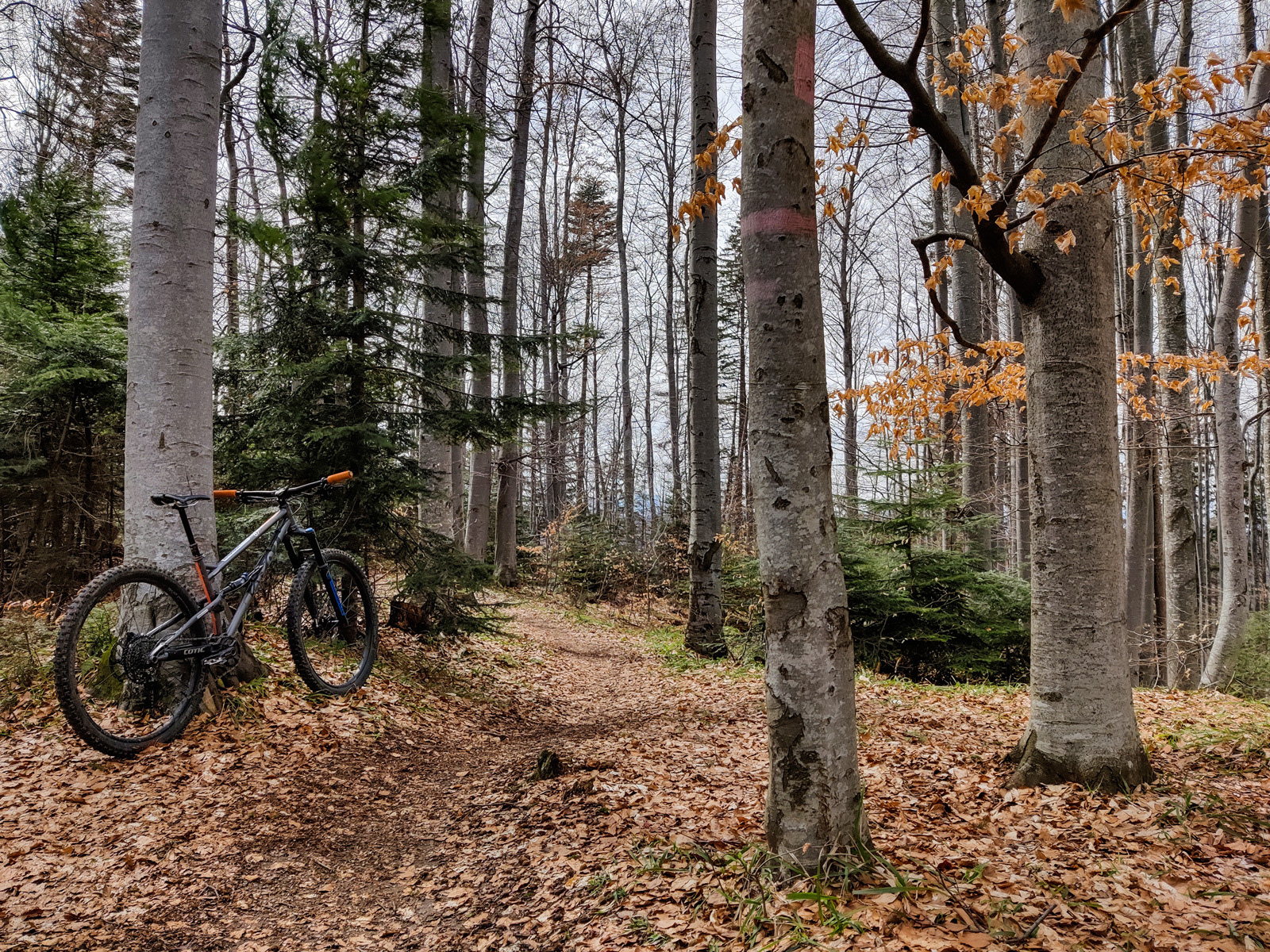 IMG_20230414_142055_1600