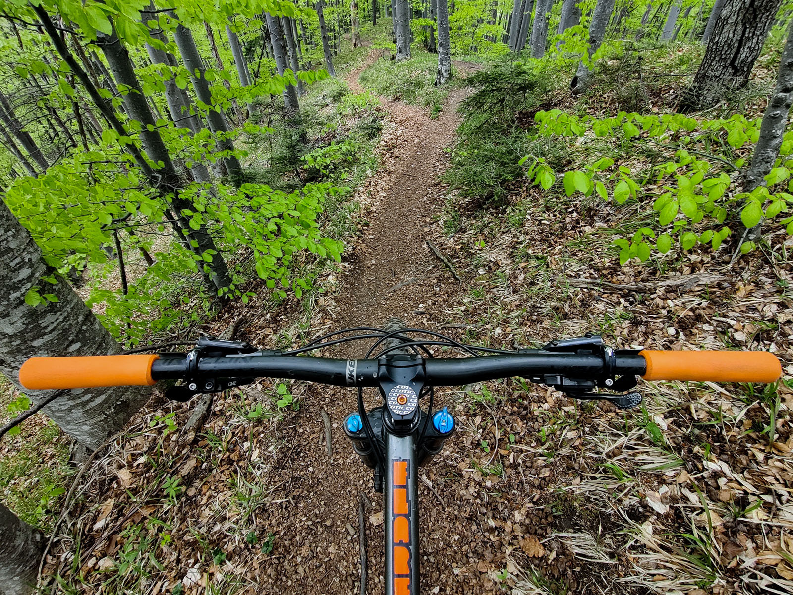 IMG_20230507_154436_1600