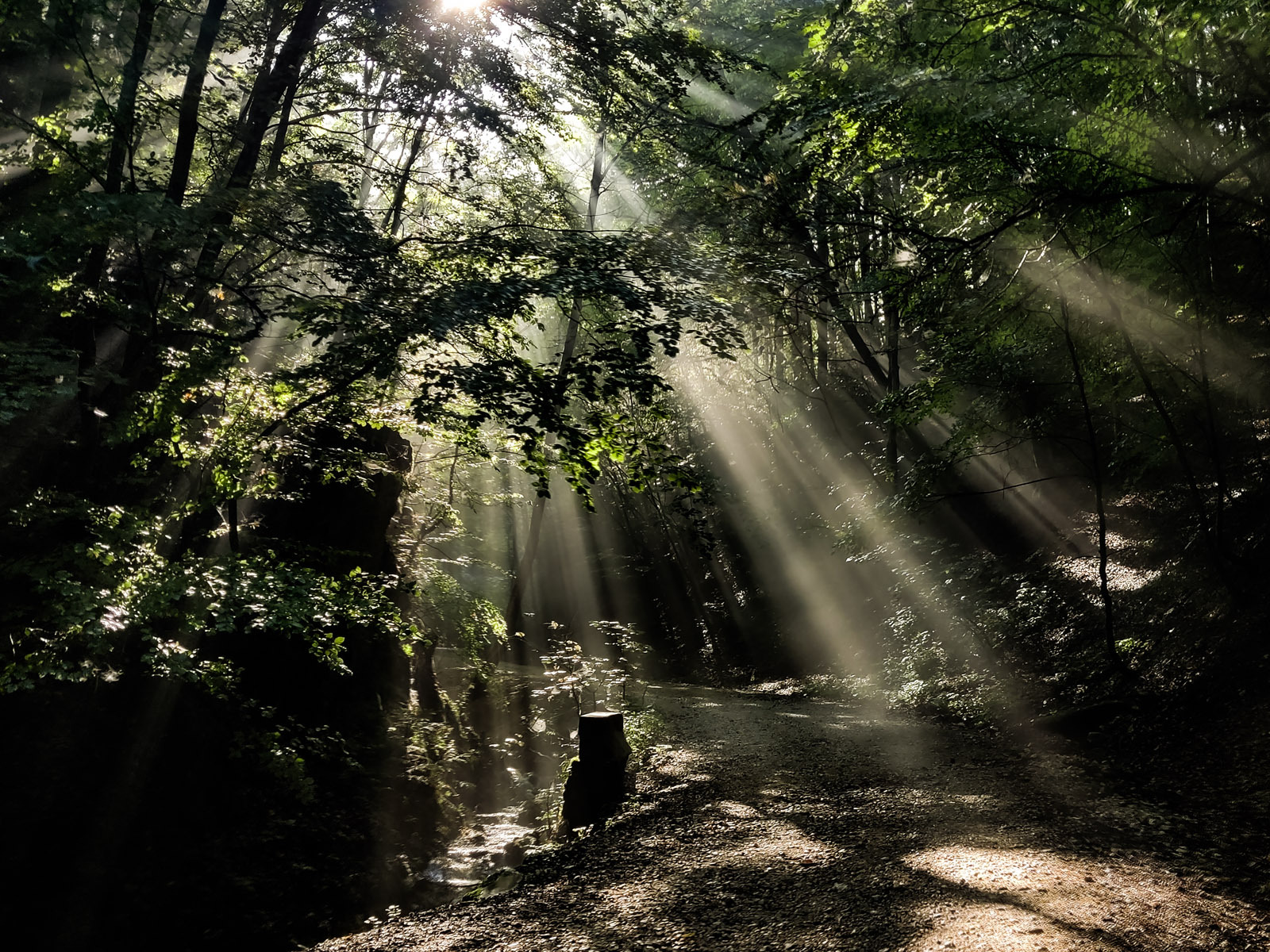 IMG_20230825_094531_1600-cropped