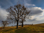 IMG_20211107_154621_1600