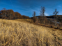 IMG_20211114_151314_1600