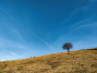 IMG_20211114_153819_1600