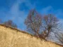 IMG_20211121_135953_1600