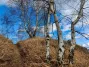 IMG_20211128_143730_1600